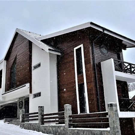 Casa Larisa - Wolves Apartment Sinaia Kültér fotó