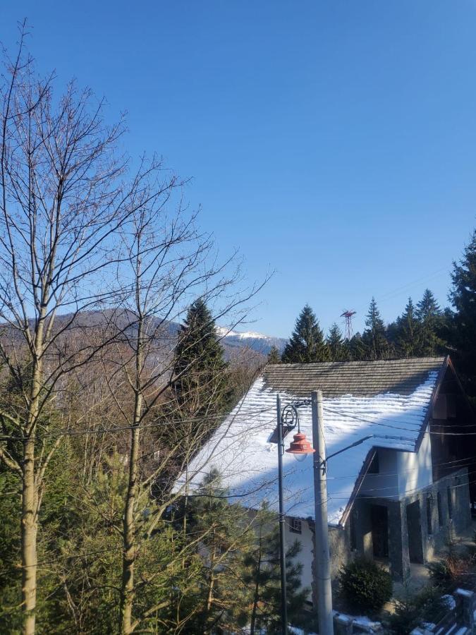 Casa Larisa - Wolves Apartment Sinaia Kültér fotó
