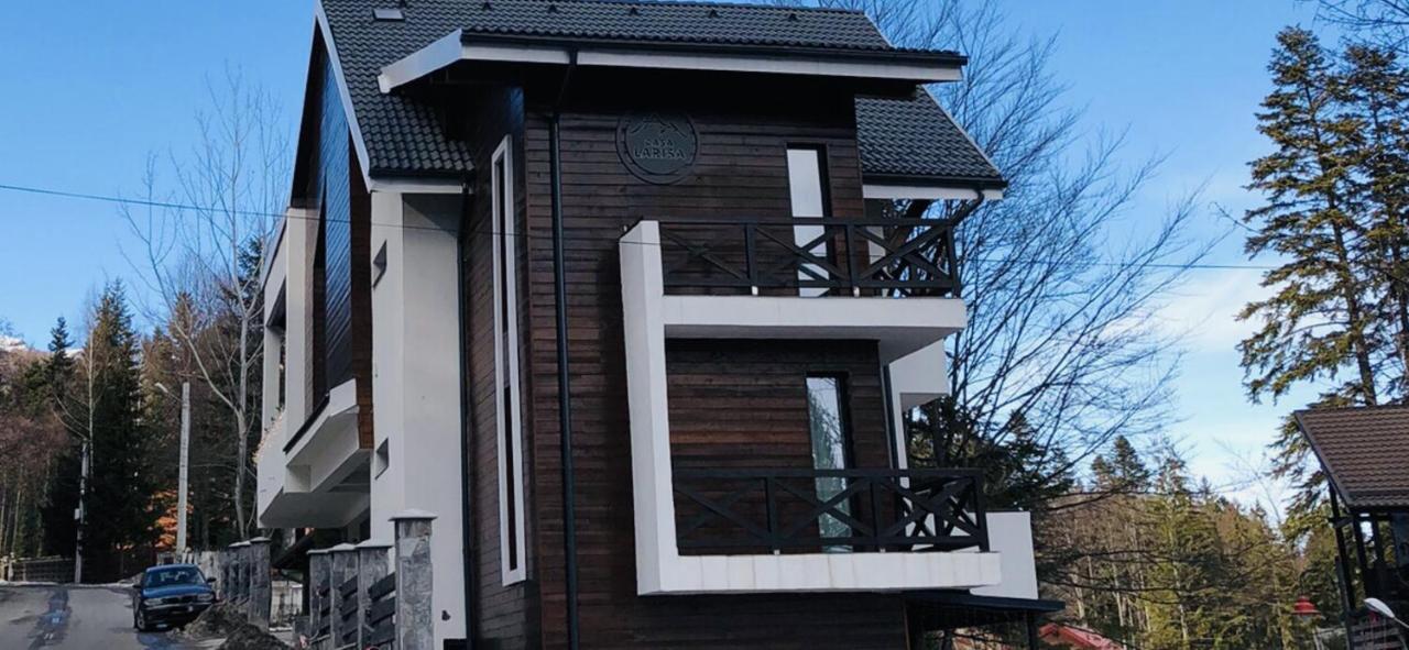 Casa Larisa - Wolves Apartment Sinaia Kültér fotó