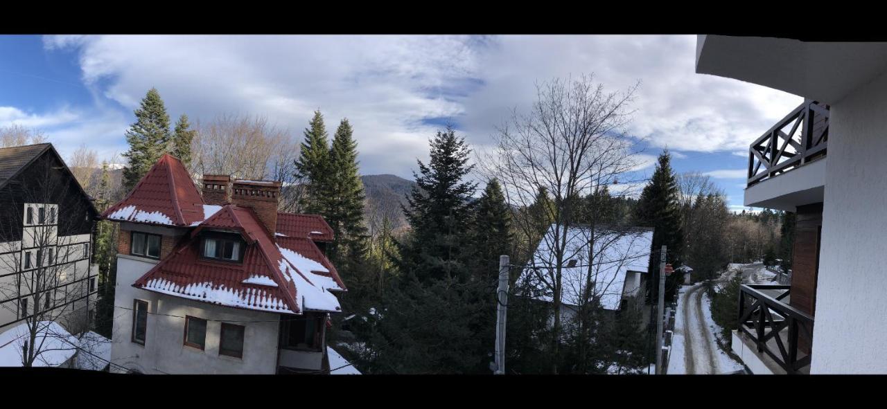 Casa Larisa - Wolves Apartment Sinaia Kültér fotó