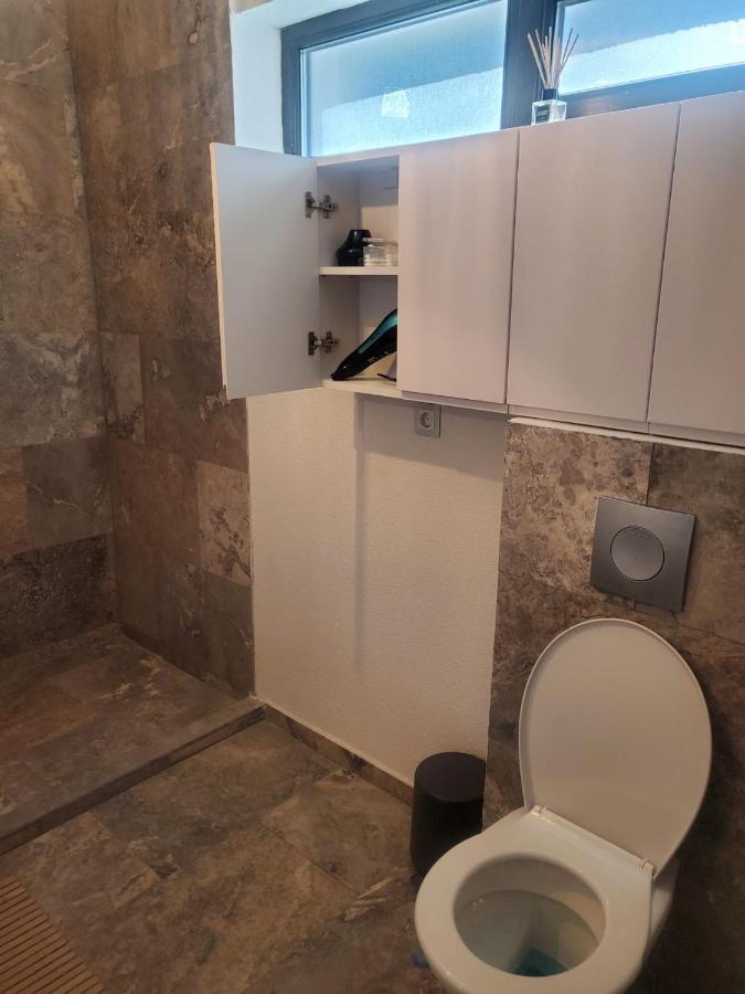 Casa Larisa - Wolves Apartment Sinaia Kültér fotó
