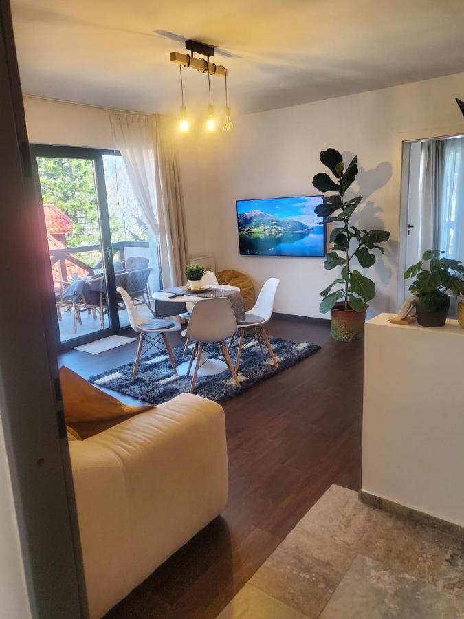 Casa Larisa - Wolves Apartment Sinaia Kültér fotó
