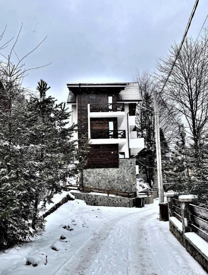 Casa Larisa - Wolves Apartment Sinaia Kültér fotó