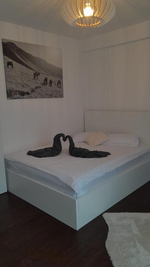 Casa Larisa - Wolves Apartment Sinaia Kültér fotó
